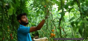 Agrifood Investment Could Generate Five Million Jobs Across MENA Region by 2050